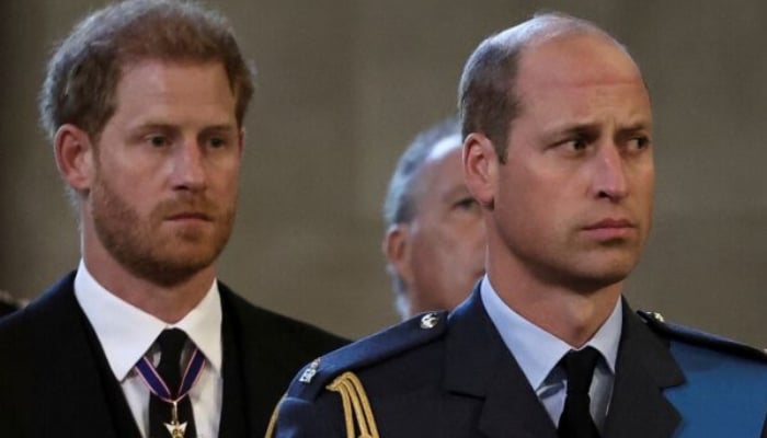 Prince Harry major heartbreak over Prince Williams new honour