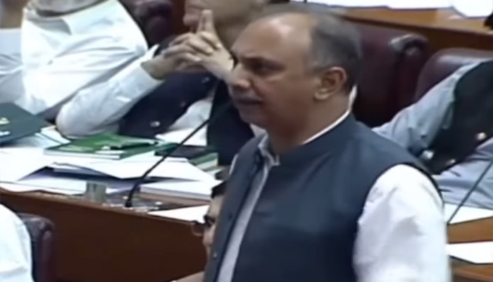 PTI Secretary-General Omar Ayub Khan speaks on the National Assemblys floor on June 7, 2024. — Screengrab/Geo News