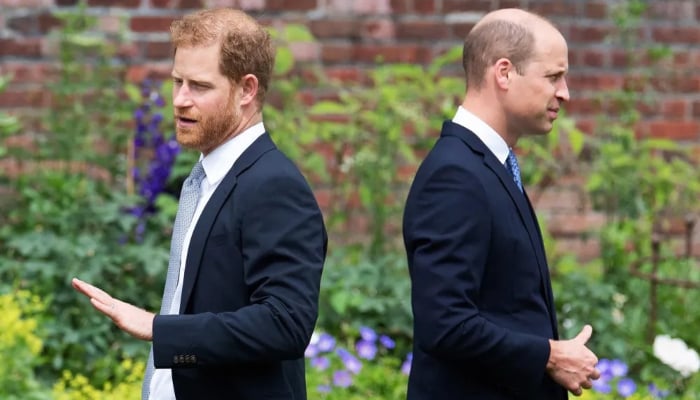 Prince Harry worst fear comes true as close pals extend support to William