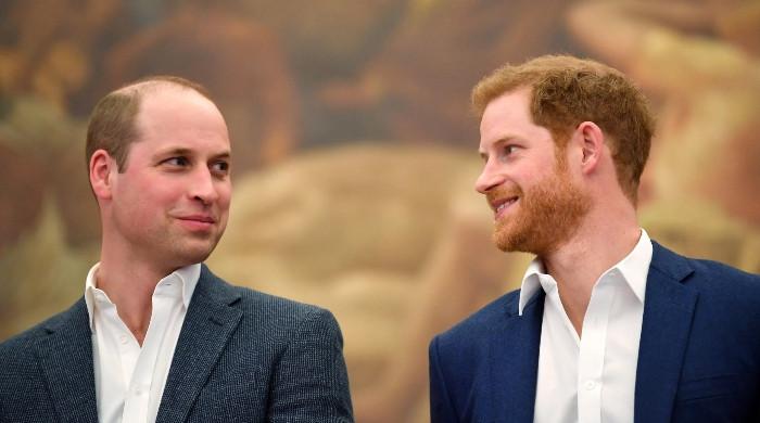 Prince Harry finally accepts William supported him at one point