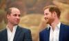Prince Harry finally accepts William supported him at one point