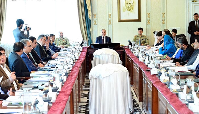 Prime Minister Shehbaz Sharif chairs meeting of the National Economic Council (NEC) on June 10, 2024. — PID