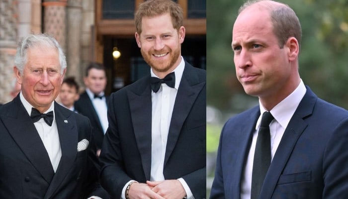 King Charles sees Prince Harry as useful ally despite Williams fued