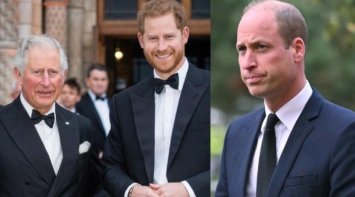 King Charles sees Prince Harry as 'useful ally' despite William's fued