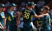 T20 World Cup 2024: Australia Get 73-run Target From Namibia