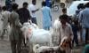 Robbers flee with truck full of goats in Karachi's Gulistan-e-Johar area