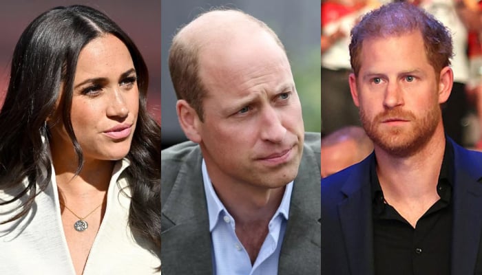 Prince William makes sincere plea to Prince Harry about Meghan Markle