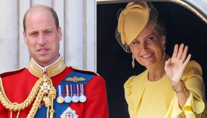 Royal fans noticed a touching moment between William and his aunt Sophie