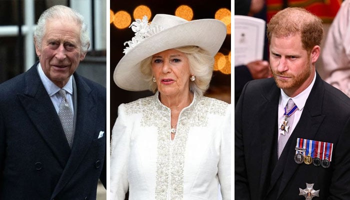 Queen Camilla crushes King Charles’ plans to reconcile with Prince Harry