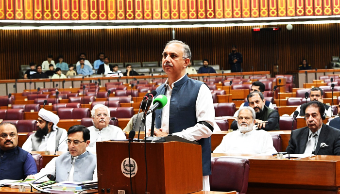 Opposition Leader Omar Ayub Khan is addressing the National Assembly session on June 20, 2024. — National Assembly of Pakistan