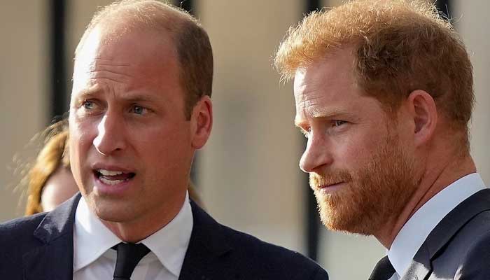 Prince William deals fresh blow to Harry