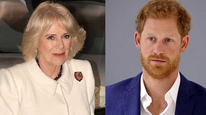 Prince Harry in trouble for comment about Queen Camilla