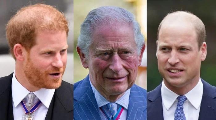 Prince Harry, Prince William ready to end feud due to 'pressure' from King Charles