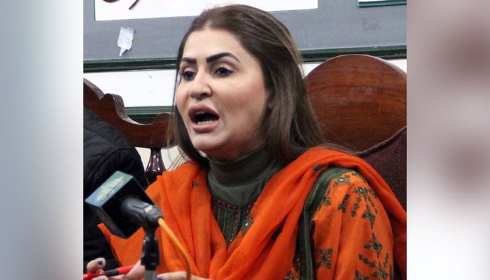 Peoples Party (PPP) Central Information Secretary Shazia Marri addresses to media persons during press conference, at Quetta press club on Wednesday, November 29, 2023. — PPI
