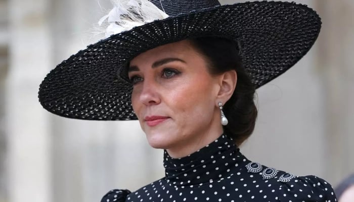 Kate Middleton sends hidden message with her new portrait