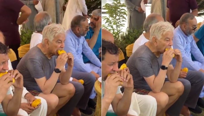 Defence Minister Khawaja Asif seen relishing a mango at a social gathering in these stills taken from a video. — Geo News