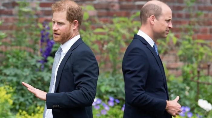 Prince Harry receives final warning to make amends with Prince William