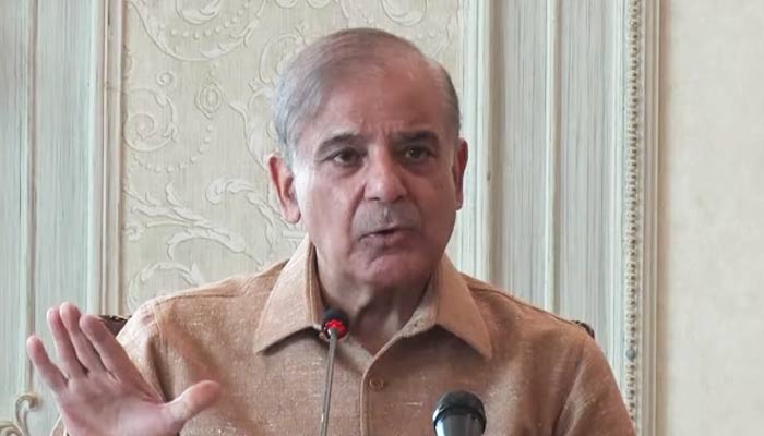 Prime Minister Shehbaz Sharif addresses meeting of the National Action Plan (NAP) Apex Committee on June 22, 2024 in this still taken from a video. — YouTube/GeoNews