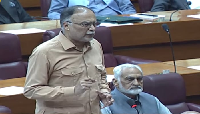 Minister for Planning, Development and Special Initiatives Ahsan Iqbal addressing National Assembly in Islamabad on June 22, 2024. —Screengrab/ PTV News/ YouTube