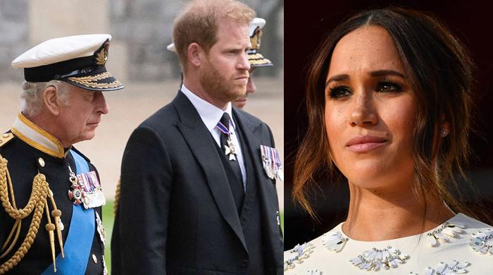 Meghan Markle risks destroying ‘compelling link’ between King Charles, Harry