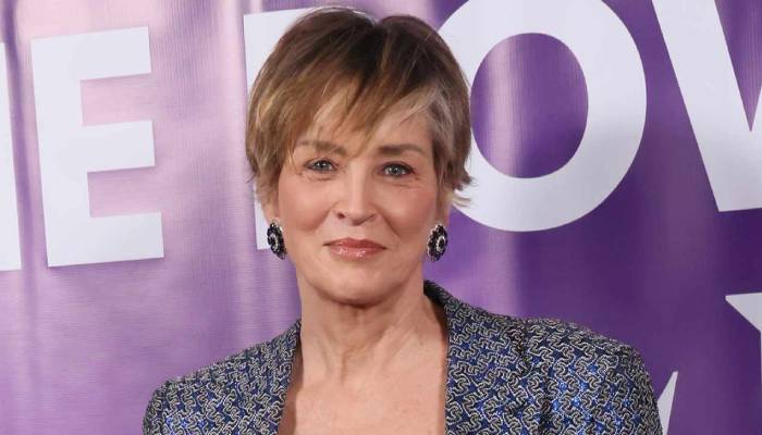 Sharon Stone reflects on her fame in the entertainment industry