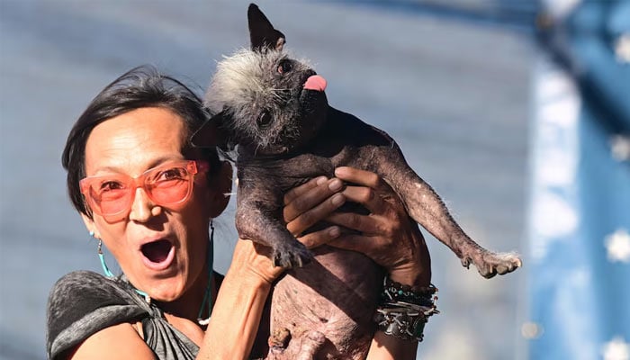 Winner of Worlds Ugliest Dog contest announced. — AFP/File