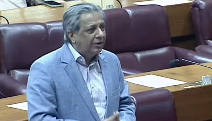 Law Minister Azam Nazeer Tarar speaks on the floor of the National Assembly, on June 23, 2024. — Screengrab/GeoNews