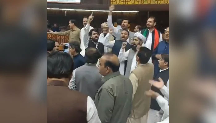 PTI lawmakers protest during the National Assembly, on June 23, 2024. — Reporter