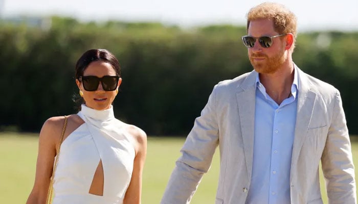 Prince Harry, Meghan Markle get ‘privacy lessons’ from unexpected royal