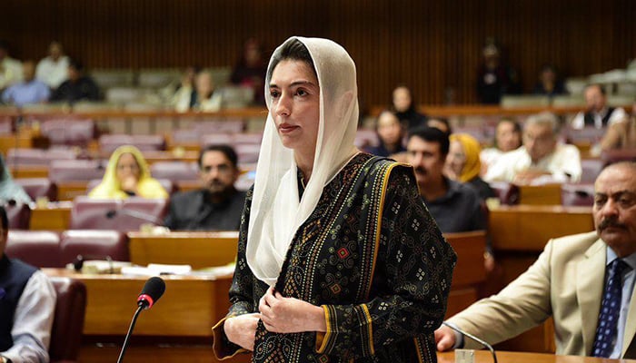 First Lady of Pakistan and MNA Aseefa Bhutto-Zardari speaks during National Assembly session on June 23, 2024. — Facebook/AseefaBZofficial