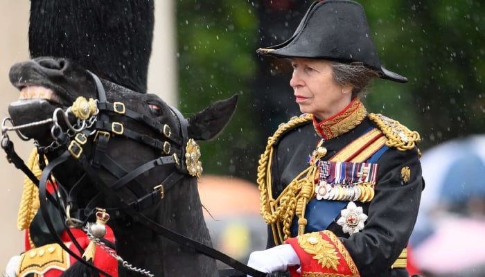 The Princess Royal was injured and left with a concussion during an incident