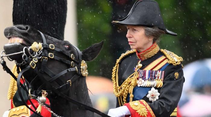 Princess Anne hospitalised, Buckingham Palace confirms