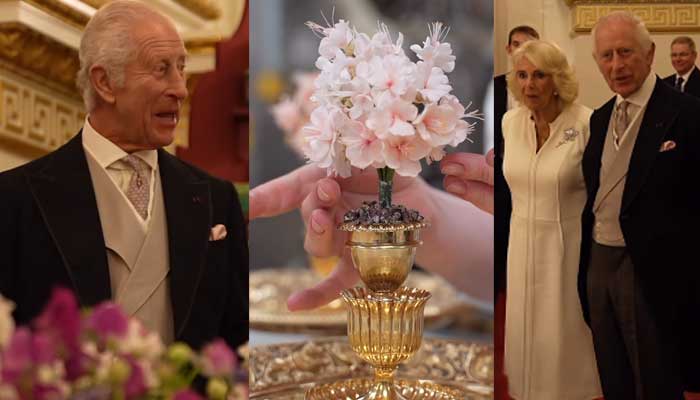 Royal family excites fans with breathtaking video of State Banquet