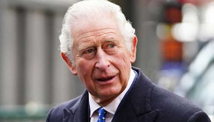 King Charles given crucial advice as royal familys crisis deepens