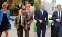 Prince William Beats Prince Harry To Carry On Mum Diana's Work
