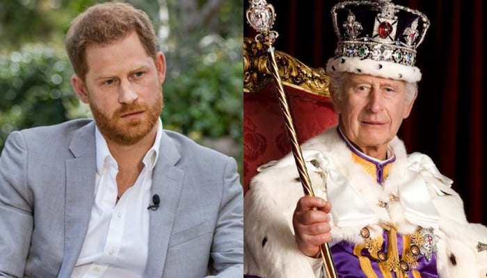 Prince Harry makes final decision about role in King Charles reign