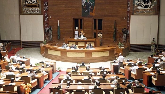 This photo shows the interior of the Sindh Assembly during a session. — App/File