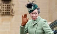 Princess Anne's Courageous Message Revealed