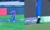 T20 World Cup final: Suryakumar's decisive catch sparks controversy