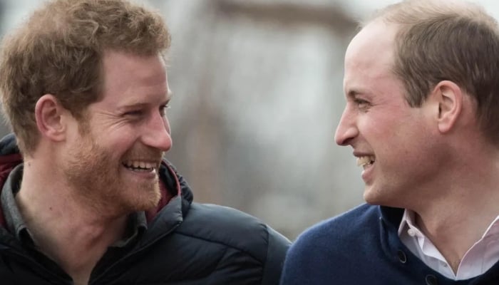 Prince William, Prince Harry receive long awaited amazing news: really happy