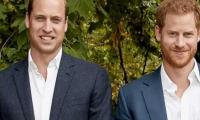 Prince William Hides 'extreme Pain' As He Is More Upset Than Prince Harry
