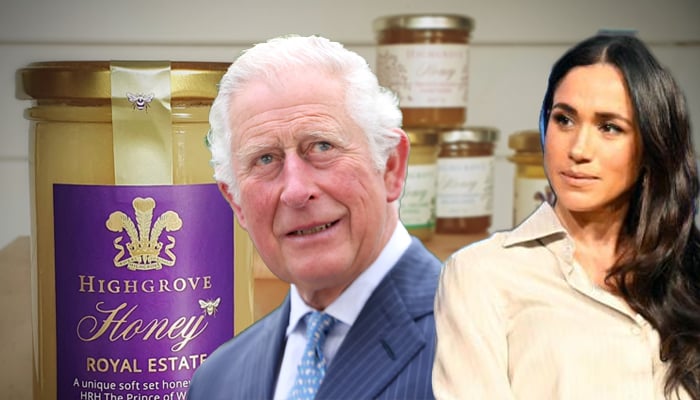 King Charles attempts to foil Meghan Markles business plans