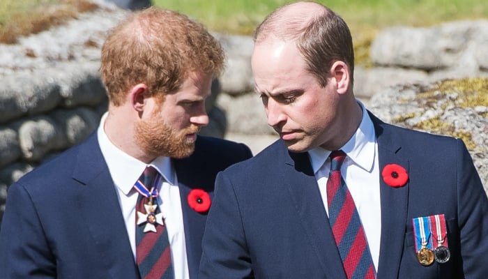 Prince William remorseful over Harrys rift amid sensitive time