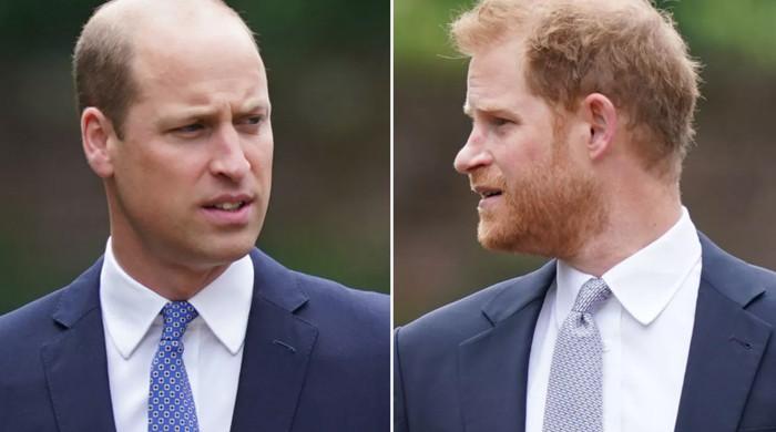 King Charles, Prince William await public apology from Prince Harry