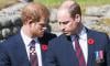 Prince William remorseful over Harry's rift amid 'sensitive time'