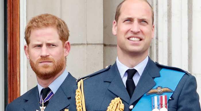 Prince William warned of Harry’s shocking revenge plan