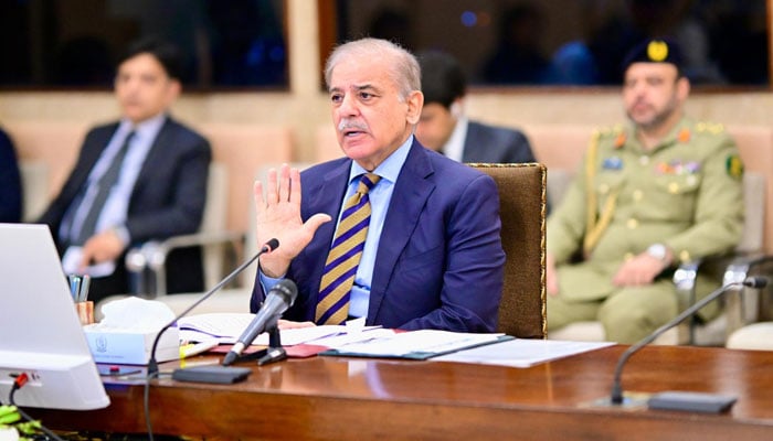 Prime Minister Shehbaz Sharif addresses the federal cabinet on July 10, 2024. — PID