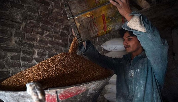 A representational image of a person working in a flour mill in Pakistan. — AFP/File