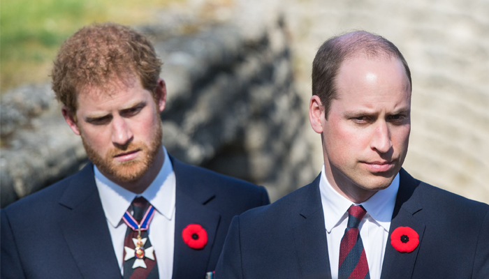 Prince Harry attempts to outshine Prince William with big announcement