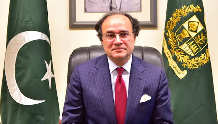 Pakistani Finance Minister Muhammad Aurangzaib poses after taking oath in Islamabad, Pakistan March 11, 2024. — Reuters